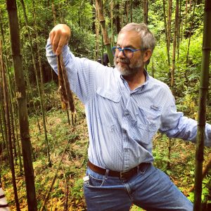 Foraging for bamboo in the mountains