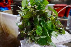 Seasonal Markets