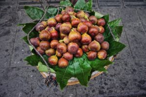 foraged figs